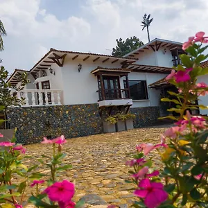 https://boutique-la-casa-de-piedra.cali-hotels.com